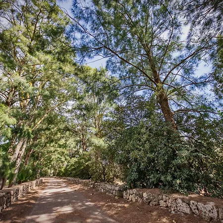 Torre Casciani Alojamento de Turismo Rural Ugento