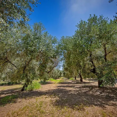 Torre Casciani * Ugento