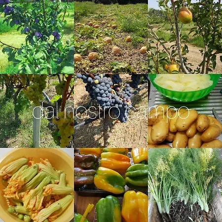 Torre Casciani * Ugento