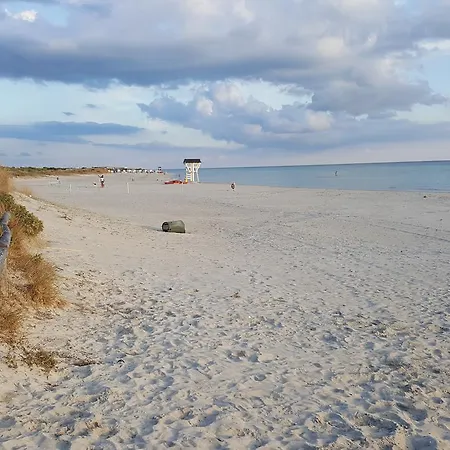 Alojamento de Turismo Rural Torre Casciani *