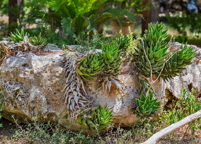 Torre Casciani Vakantieboerderij