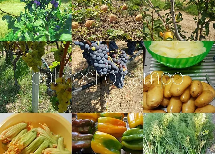 Torre Casciani * Ugento