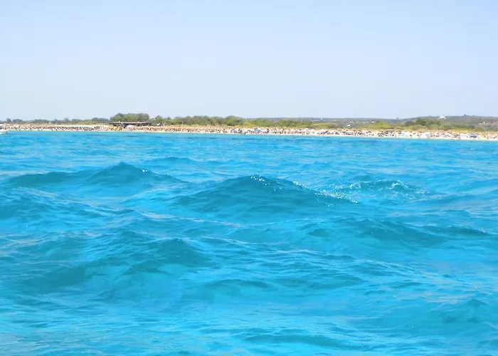 Torre Casciani Bauernhof