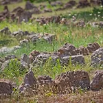 Agroturismo Torre Casciani *