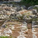 Torre Casciani Bauernhof