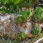 Torre Casciani Agroturismo
