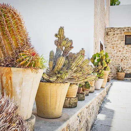 Torre Casciani Farm stay *