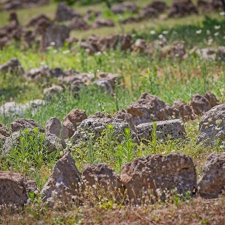 Séjour à la ferme Torre Casciani *