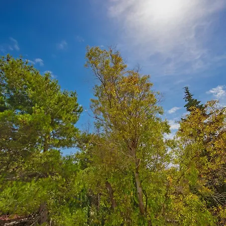 Séjour à la ferme Torre Casciani Ugento