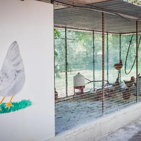 Torre Casciani 乌真托