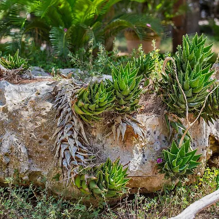 Torre Casciani Séjour à la ferme