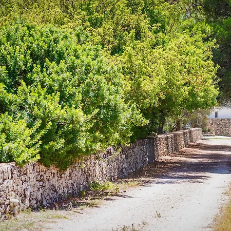 Farm stay Torre Casciani *
