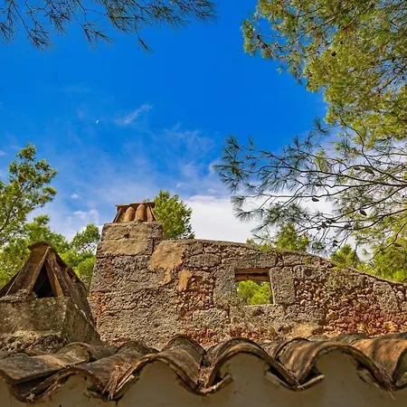 Torre Casciani *