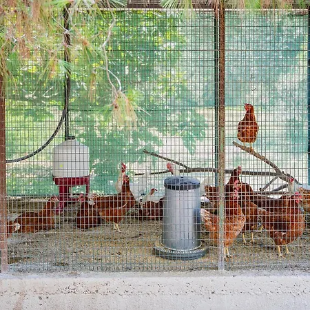 Séjour à la ferme Torre Casciani Ugento
