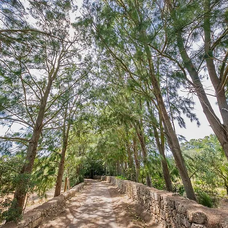 Farm stay Torre Casciani *