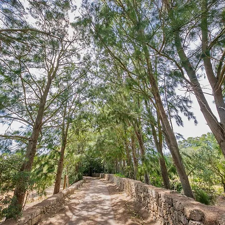 Séjour à la ferme Torre Casciani *