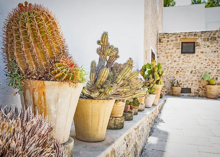 Torre Casciani Alloggio per agriturismo *