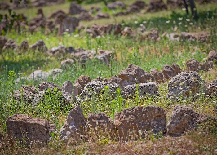Alloggio per agriturismo Torre Casciani *
