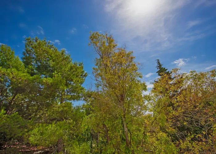 Alloggio per agriturismo Torre Casciani Ugento