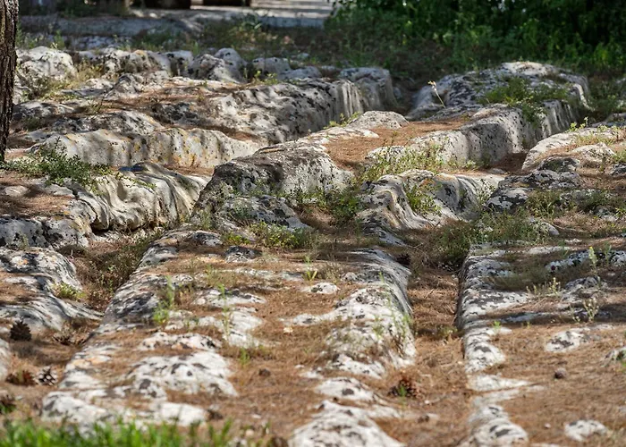 Torre Casciani Alloggio per agriturismo