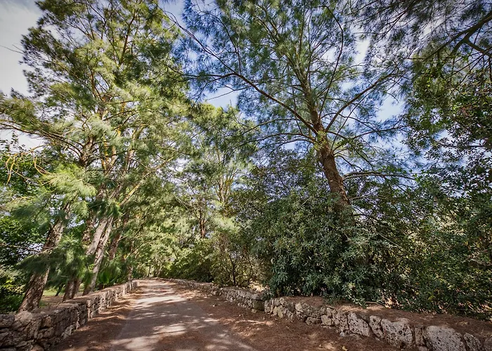 Torre Casciani Alloggio per agriturismo Ugento