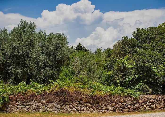 Alloggio per agriturismo Torre Casciani Ugento