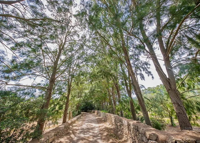 Alloggio per agriturismo Torre Casciani *